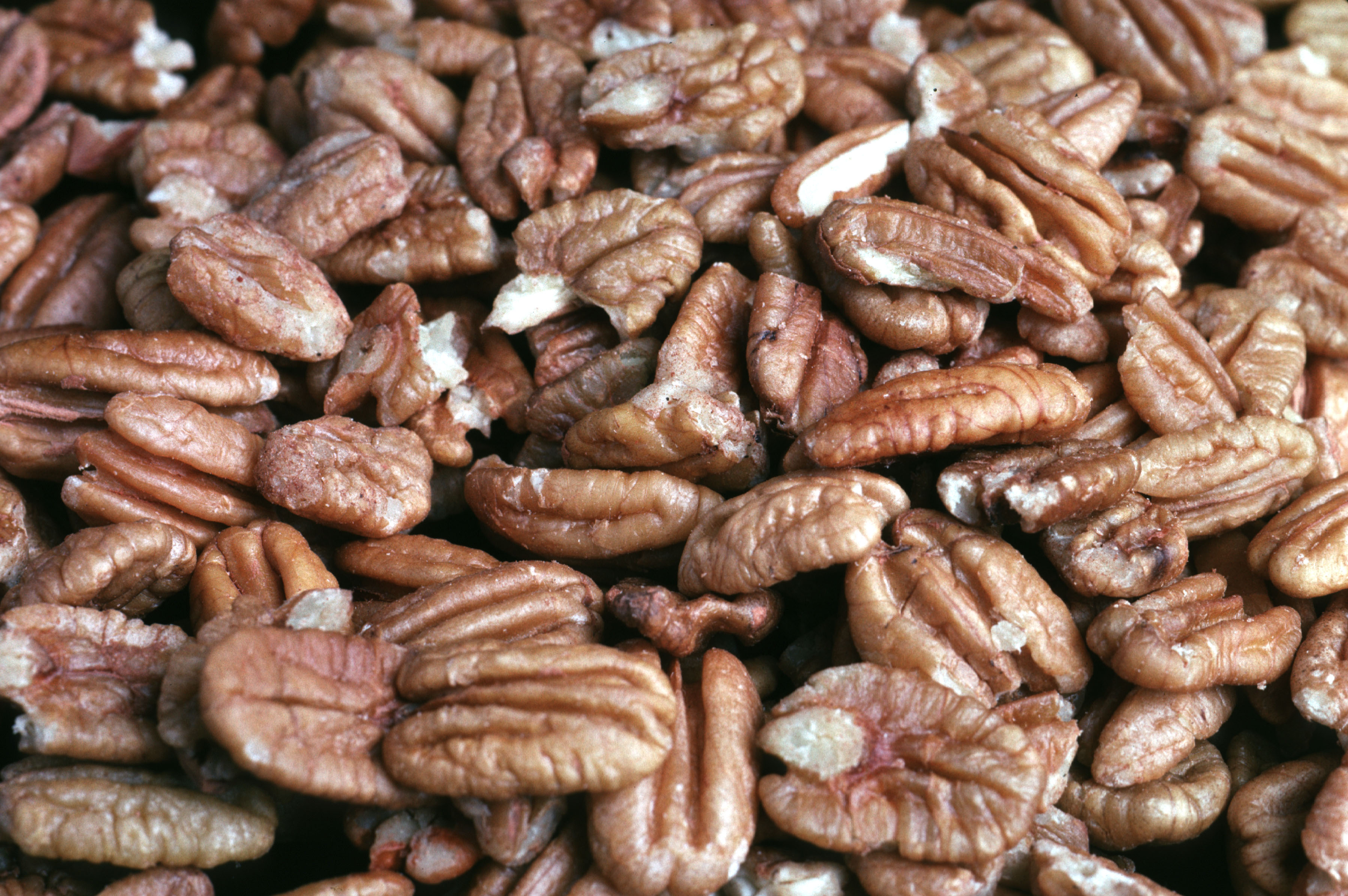 Shelled pecans.